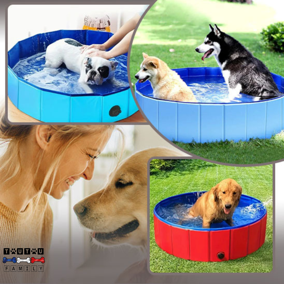 Piscine rigide pour chien  - CoolToutou™