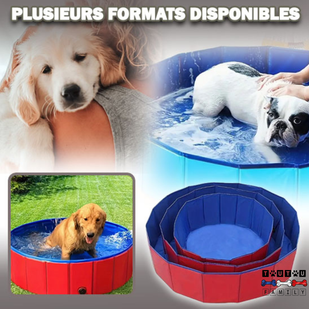 Piscine rigide pour chien  - CoolToutou™