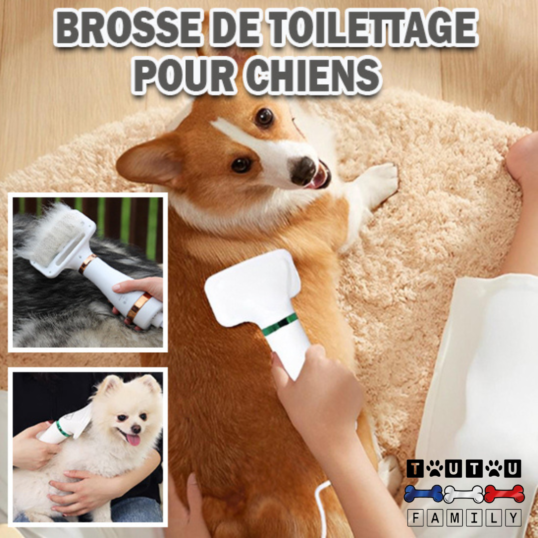 Séchoir pour chien - SéchoirToutou™