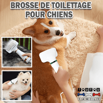 Séchoir pour chien - SéchoirToutou™