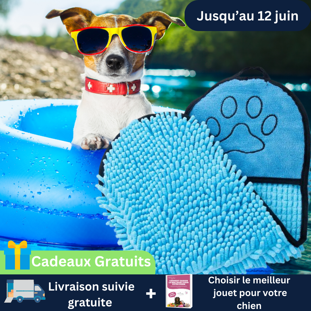 Serviette pour chien - AbsorbeToutou™