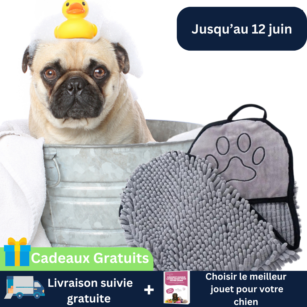 Serviette pour chien - AbsorbeToutou™