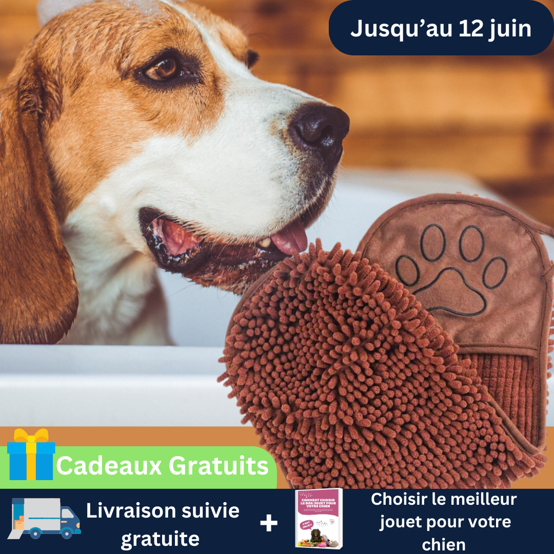 Serviette pour chien - AbsorbeToutou™