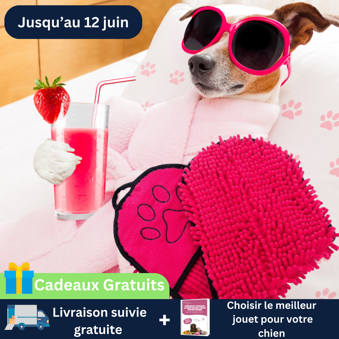 Serviette pour chien - AbsorbeToutou™