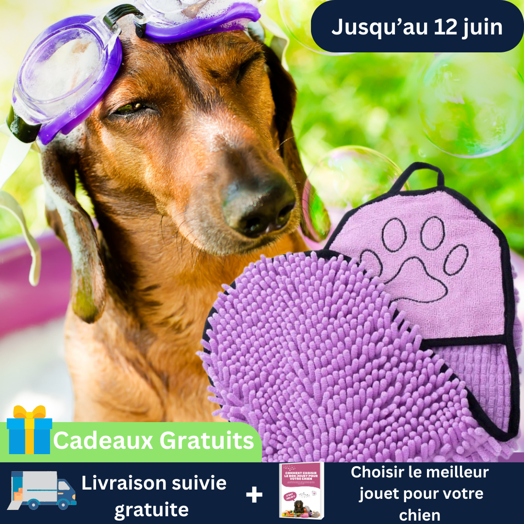 Serviette pour chien - AbsorbeToutou™