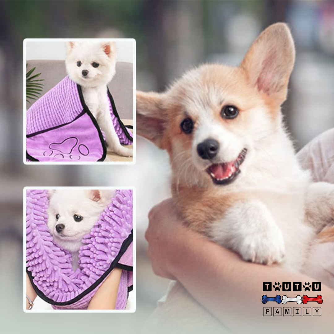 Serviette pour chien - AbsorbeToutou™