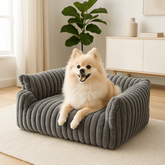 Sofa-chien-chaud-gris-un petit chien tout heureux sur son divan gris doux comme du velours et résistant, épais en coton haute densité pour chien de petite taille dans le salon de l'appartement