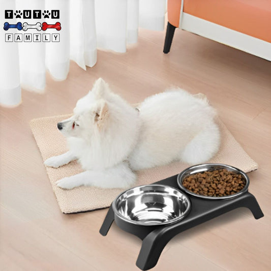 Support-gamelle-pour-chien-chiot-2-gamelles-inox-un-petit-chien-couché-à-côté-de-sa-gamelle-surélevées-avec-le-sol-de-la-maison-propre