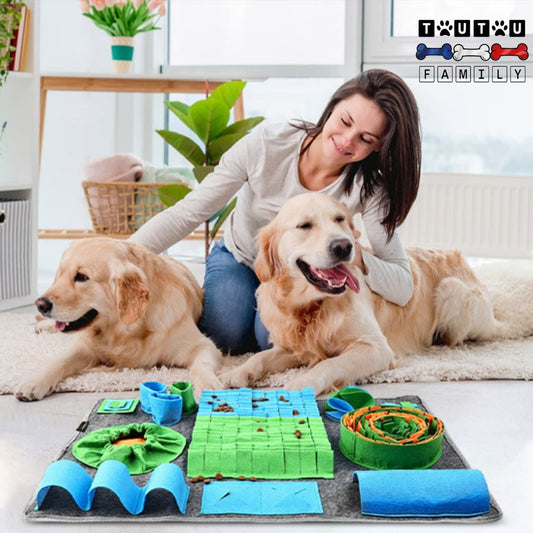 Tapis-de-fouille-chien-polaire-jeu-d-occupation-un-maitres-et-se-deux-golden-retrievers-devant-leur-tapis-de-fouille-pour-une-meilleure-relation-maitre-chien