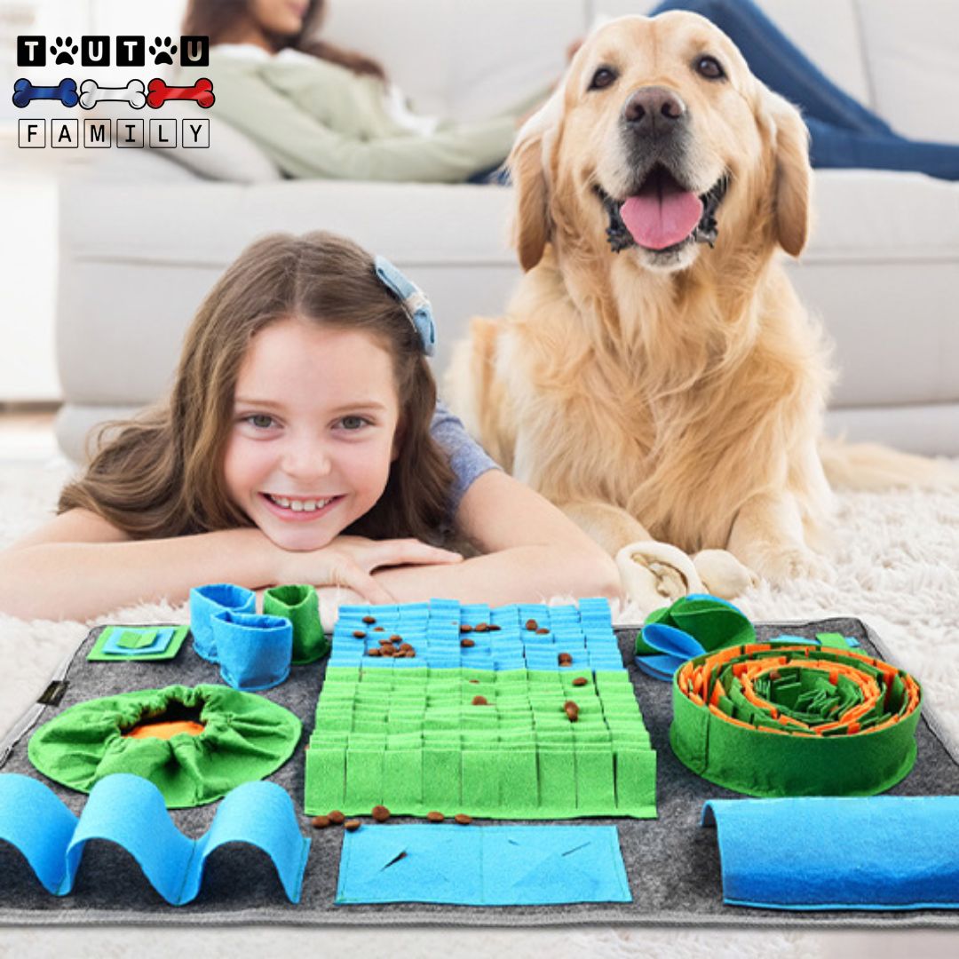 Tapis-de-fouille-chien-polaire-jouet-interactif-jouet-sonore-d-alimentation-anti-glouton-jeu-d-enrichissement-un-enfant-avec-son-chie-heureux-qui-passe-un-moment-ensemble-en-utilisant-le-tapis-de-fouille-pour-chien