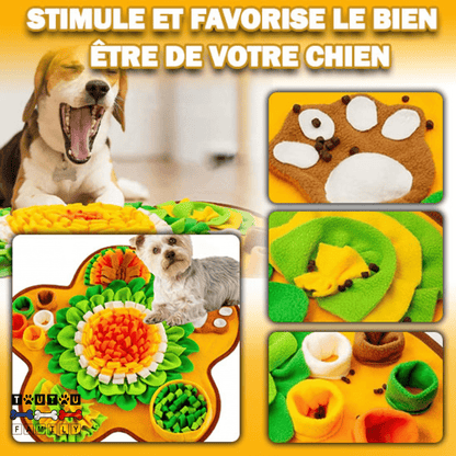 Tapis de fouille chien - FouilleToutou™