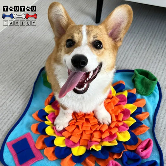 tapis-de-fouille-chien-jeu-intelligent-un-chien-de-race-Welsh-Corgi-Cardigan-tout-heureux-et-détendu-sur-son-tapis-de-fouille