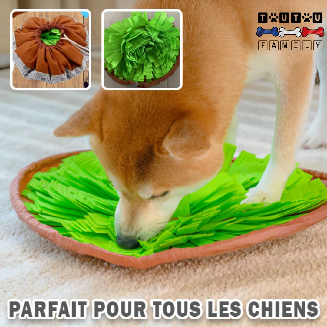 tapis-de-fouille-chien-occupation