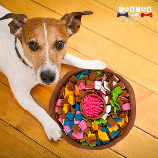 tapis-de-fouille-chien-gamelle-anti-glouton-avec-une-balle-interactive-au-centre-qui-couine-un-jack-russel-qui-joue-avec-le-tapis-de-fouille