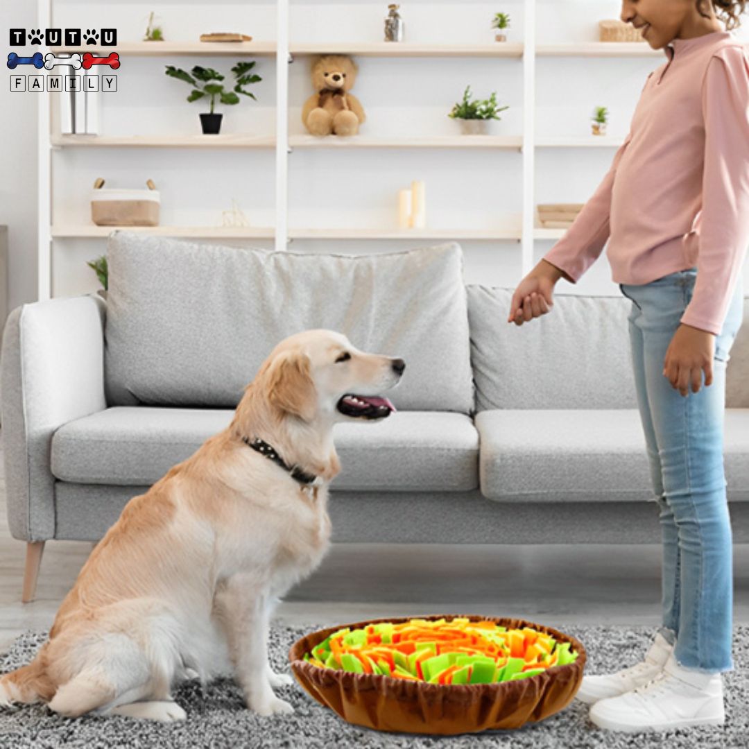 tapis-de-fouille-un-enfant-qui-montre-à-son-golden-retriever-comment-utiliser-son-tapis-de-fouille-avec-des-friandise-jeu-éducatif-de-dressage-canin