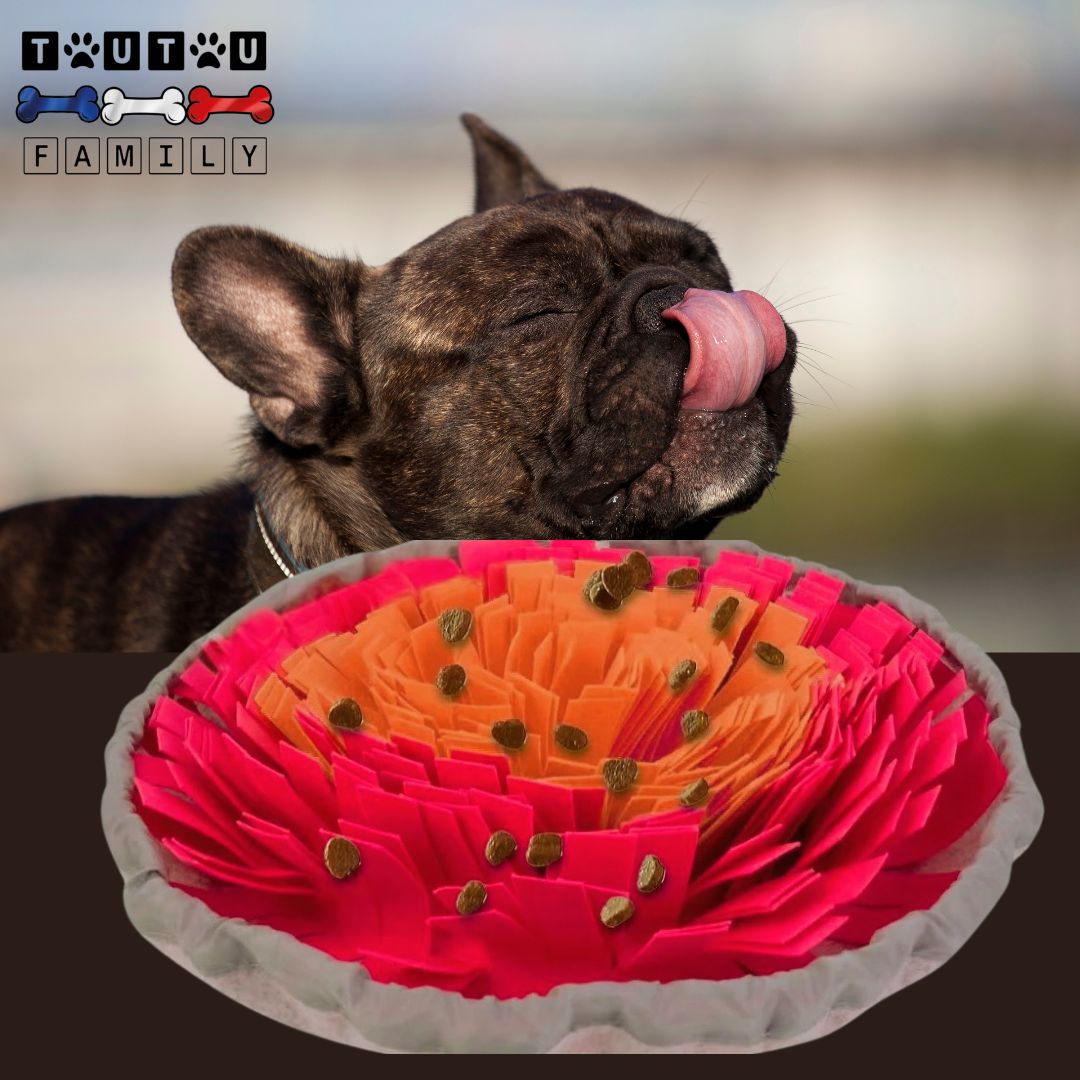 tapis-de-fouille-rose-et-orange-un-bouledogue-qui-se-lèche-les-babine-devant-le-tapis-de-fouille-orange-et-rose-avec-son-cordon-de-serrage-garni-de-croquette