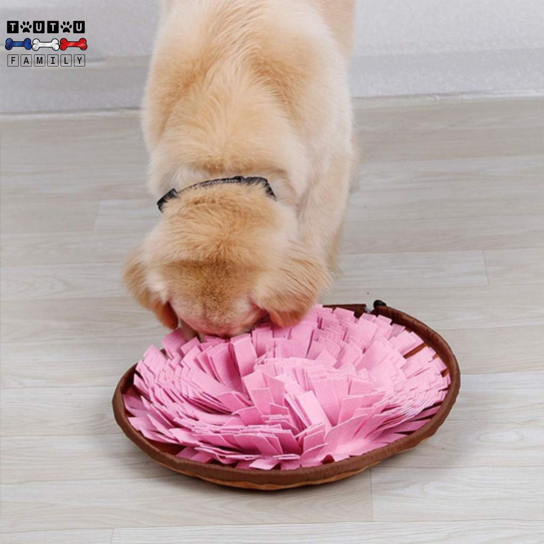 tapis-de-fouille-lavable-en-machien-niveau-1-et-niveau-2-jeu-d-intelligence-distributeur-de-croquette-un-chien-qui-cherche-et-set-pour-trouver-ses-croquettes-dans-son-tapis-de-fouille-rose