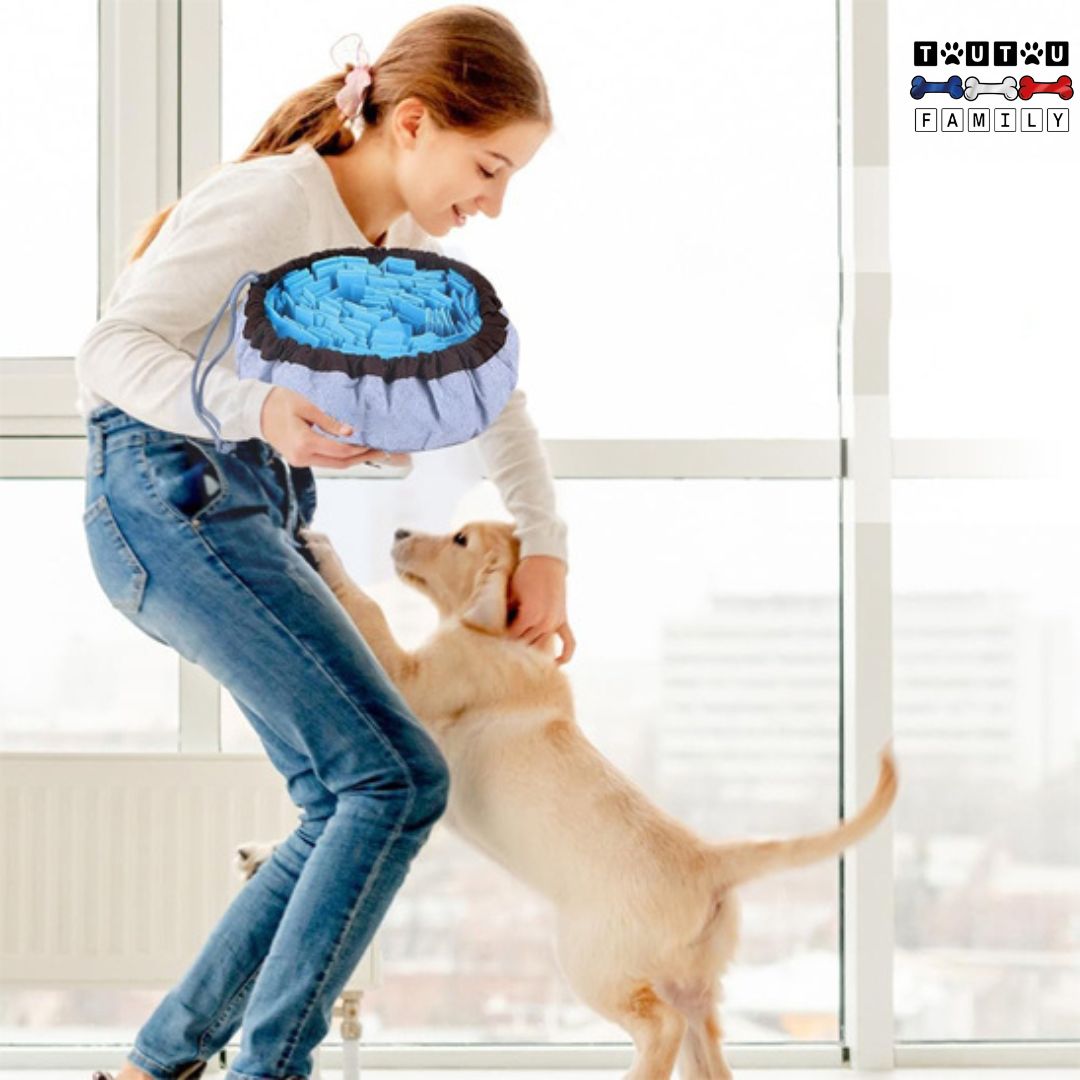 tapis-de-fouille-chien-chiot-jouet-d-occupation-et-d-intelligence-stimule-odorat-éducation-poistive-et-bienveillante-une-maitresse-qui-prépare-et-cache-des-friandise-dans-le-tapis-de-fouille-retractable-par-un-cordon-de-serrage-pour-augmenter-la-difficulté-et-son-chien-qui-saute-sur-sa-jambe-tout-heureux-de-pouvoir-stimuler-son-odorat-avec-récompense-alimentaire