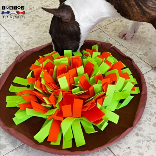 tapis-de-fouille-antiderapant-un-chien-qui-cherche-dans-le-tapis-de-fouille-qu-imite-les-herbes-haute-de-la-nature-coloré-les-croquettes-cachées-ralentit-son-alimentation-comme-une-gamelle-anti-glouton