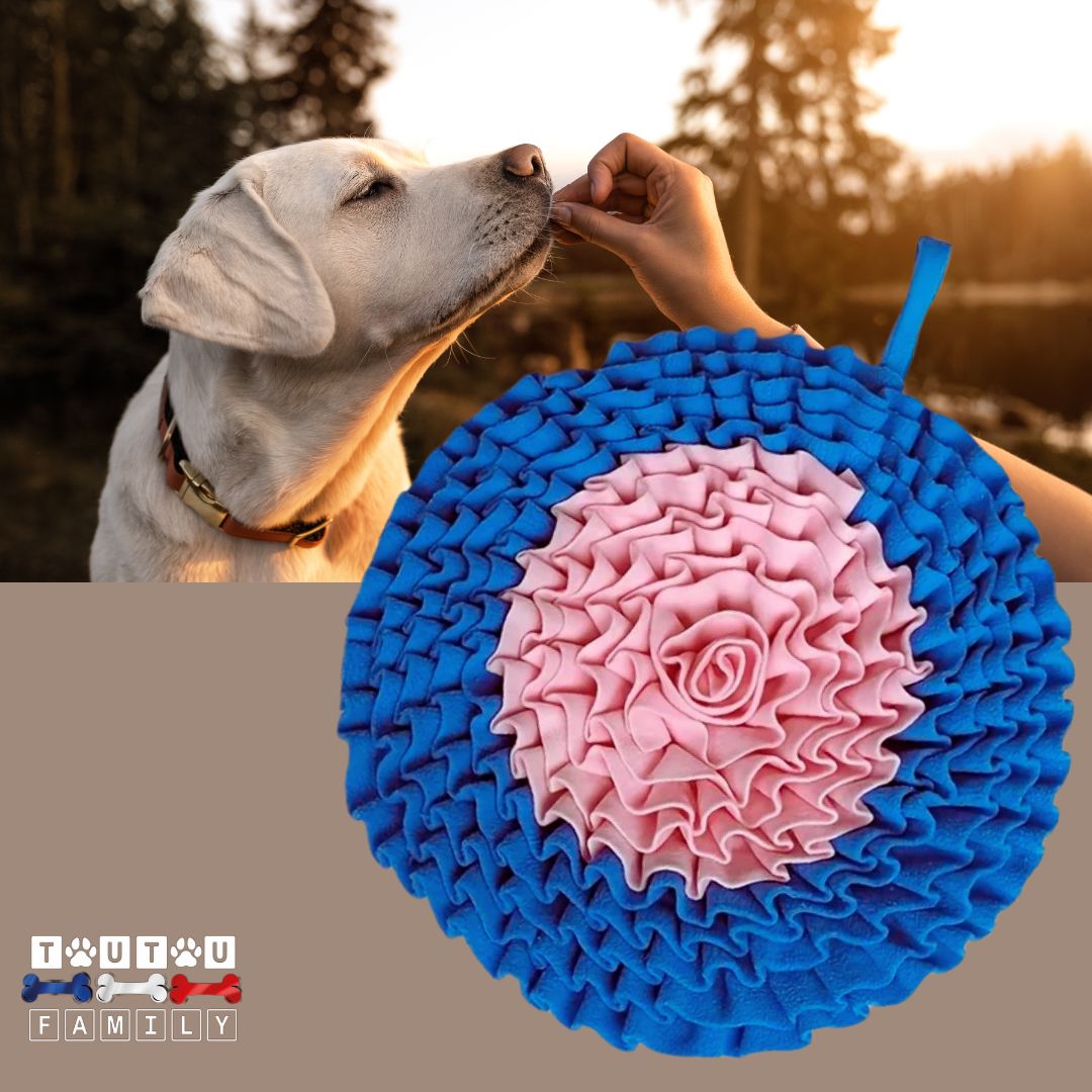 tapis-de-fouille-pour-chien-rose-bleu-et-rose-labrador-crèe-qui-mange-dans-la-main-de-son-maître