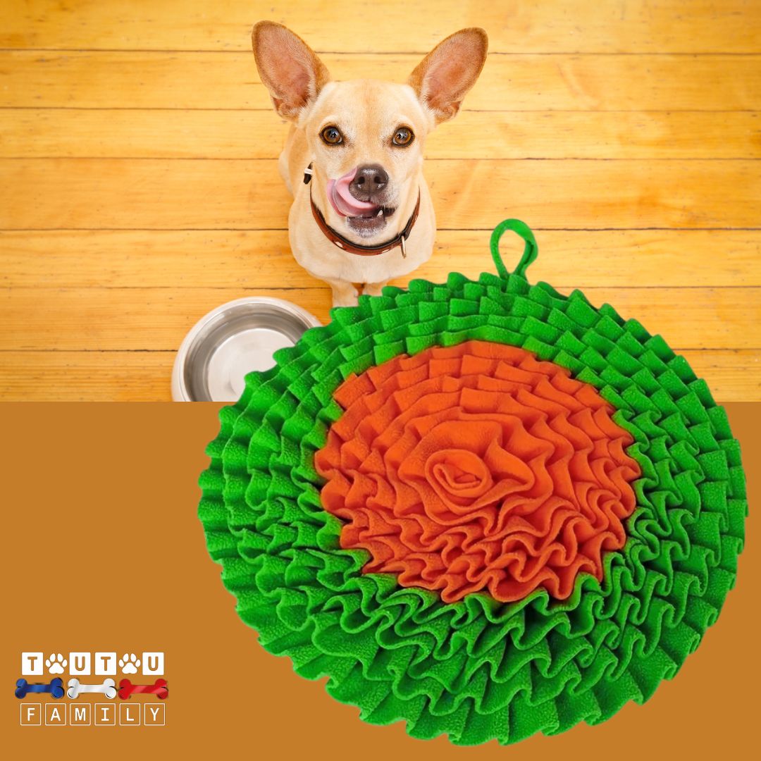 tapis-de-fouille-pour-chien-orange-et-vert-petit-chien-qui-se-lèche-les-babine
