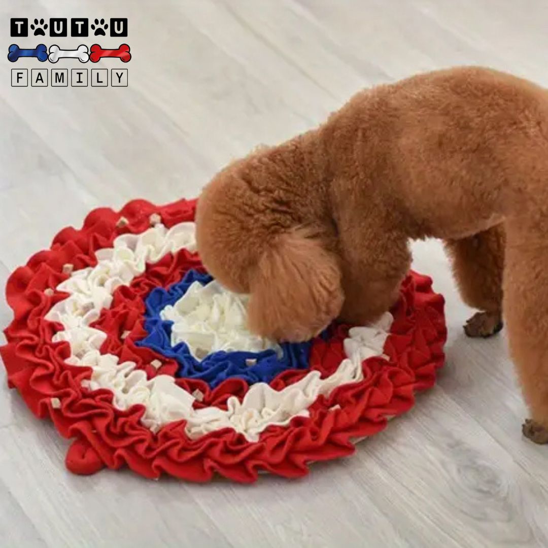 tapis-de-fouille-pour-chien-multicolore-un-caniche-marron-ui-joue-avec-un-tapis-de-ouille-rond-au-couleur-du-drapeau-francais