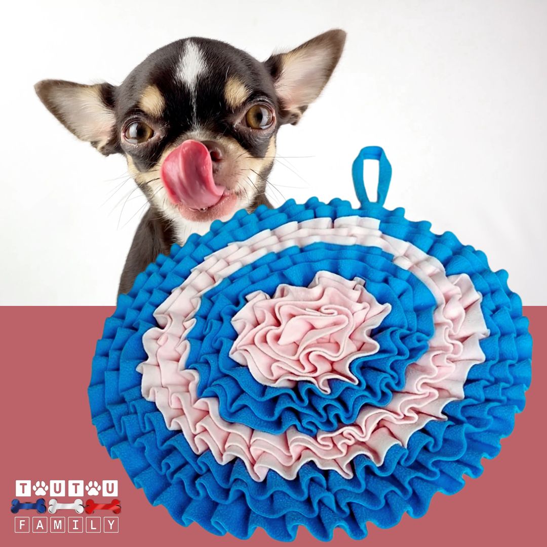 tapis-de-fouille-pour-chien-rose-et-bleu-chihuahua-qui-se-lèche-les-babines