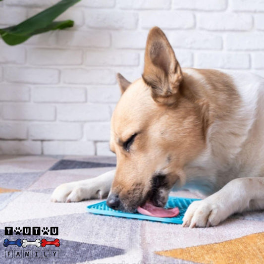 Tapis-de-lechage-chien-avec-ventouse-un-chien-couché-qui-lèche-en-fermant-ses-yeux-tout-détendu-sa-nourriture-étaler-sur-son-tapis-de-lechage-chien-en-silicone