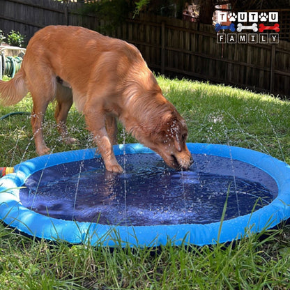 tapis-d-eau-pour-chien-pataugeoire-avec-et-d-eau-un-grand-chien-qui-joue-et-boit-les-jet-d-eau-sur-son-tapis-dans-le-jardin-raccorder-au-tuyau-avec-adaptateur-universel-inclus