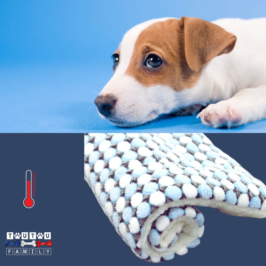 tapis-pour-chien-couverture--plaid-pour-chien-motif-graphique-bleu