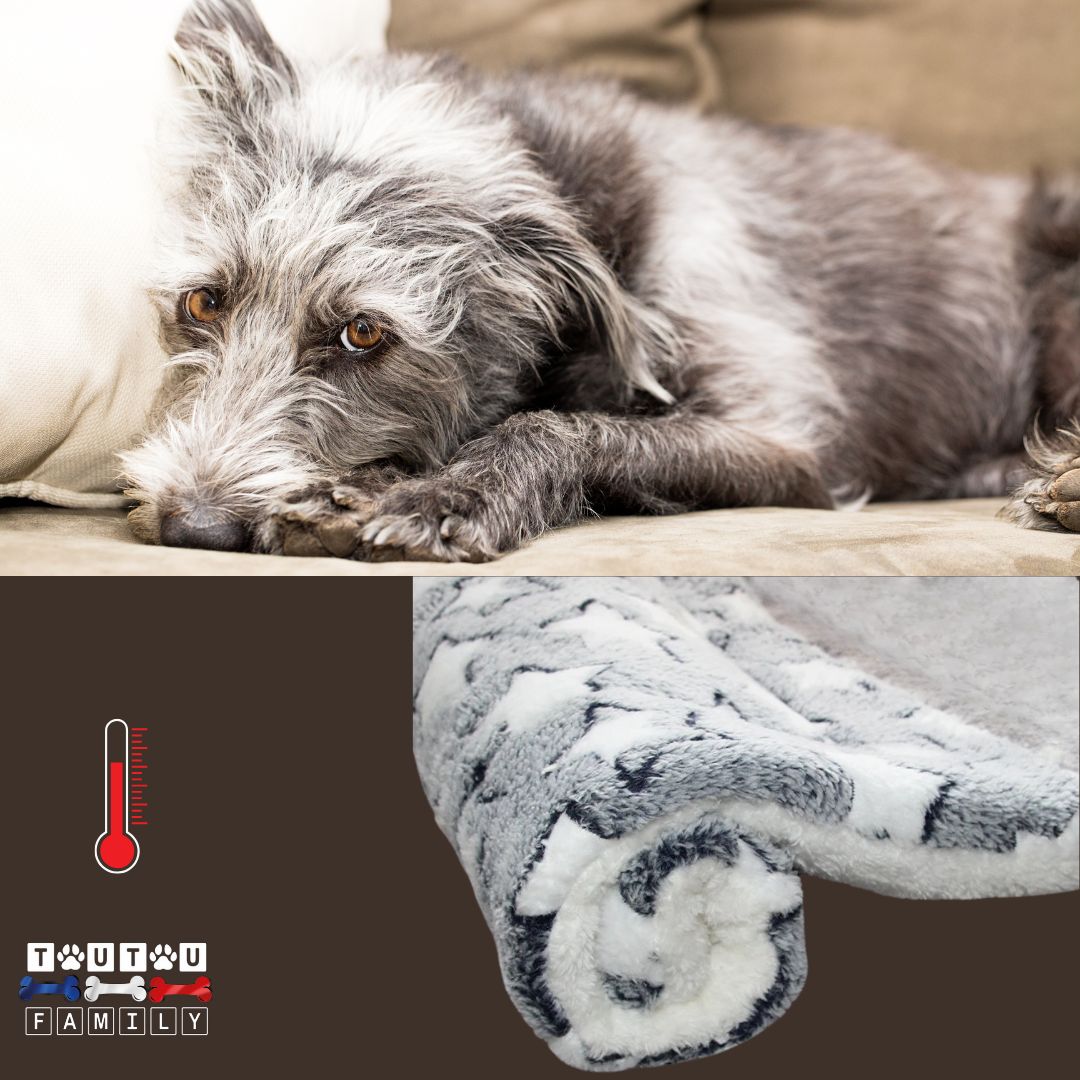 tapis-pour-chien-plaid-polaire-etoile