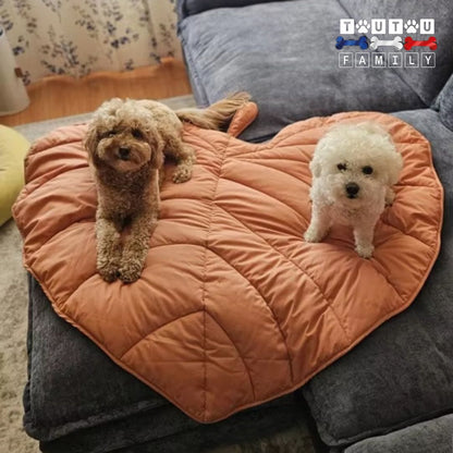 tapis-pour-chien-double-face-tapis-xxl-pour-chien-tapis-protège-canapé-deux-petit-chien-couché-sur-le-grand-tapis-en-forme-de-feuille-sur-le-canapé