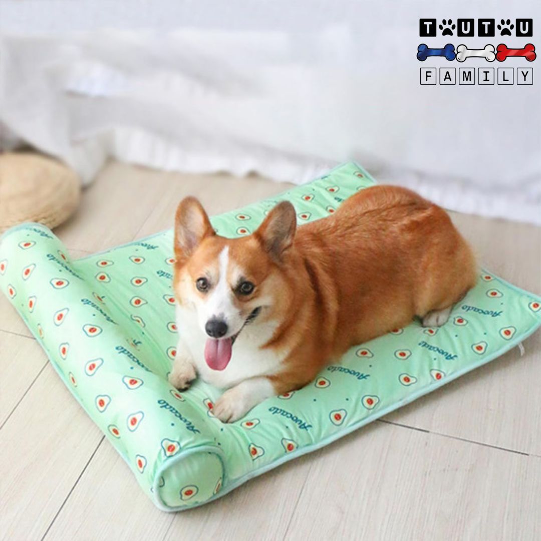 Tapis-pour-chien-rafraichissant-avec-traversin-un-welsh-corgi-haletant-qui-se-couche-et-se-rafraîchit-sur-son-tapis-rafraichissant-sans-eau-sans-électricité-sans-danger