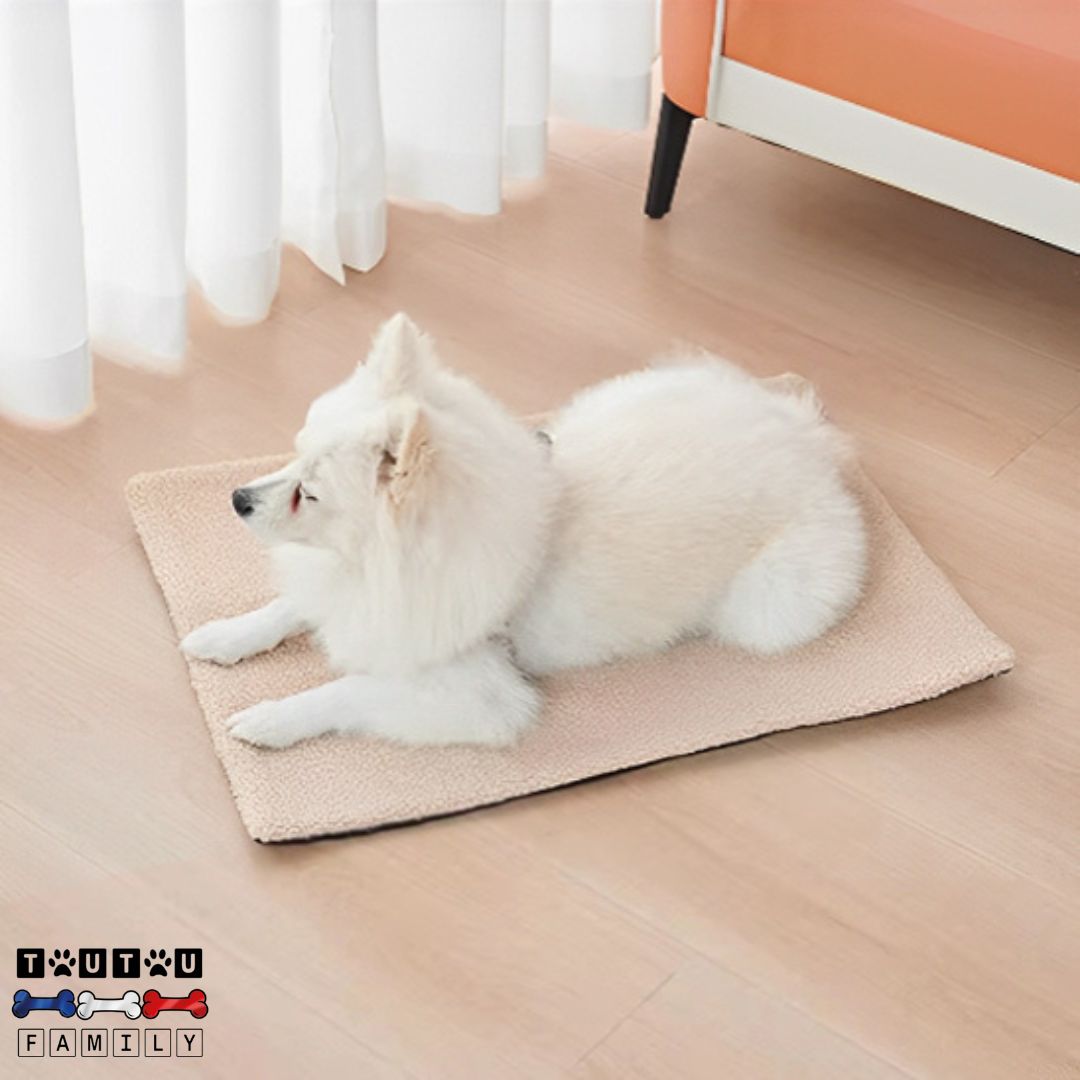 tapis-pour-chien-chiot-auto-chauffant-protection-sol-des-griffes-des-chiens-protection-canapé-voiture