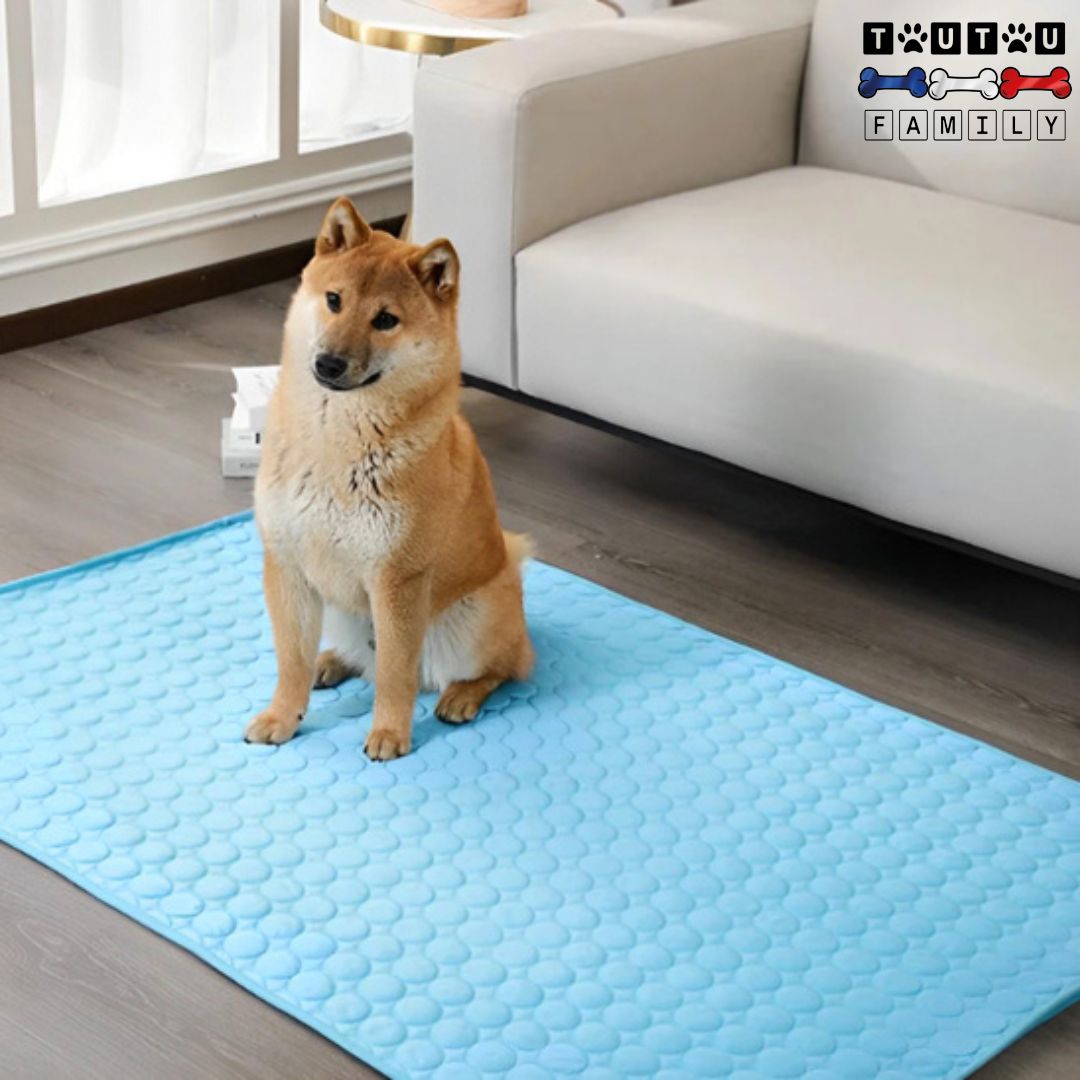 tapis-rafraichissant-chien-bleu-sans-électricité-sans-eau-peu-être-mis-au-frigo-pour-plus-de-frais