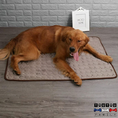 tapis-rafraichissant-chien-climatise-lavable-en-machine-un-golden-haletant-qui-se-rafraichit-instantanément-sur-son-tapis-rafraichissant-pour-chien