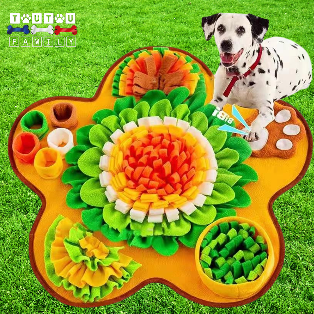 Tapis de fouille chien - FouilleToutou™