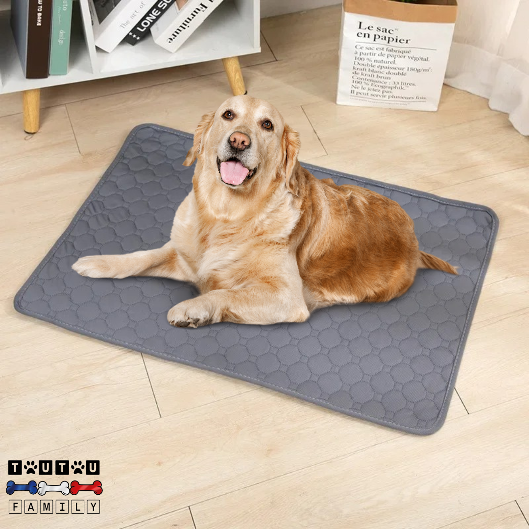 Tapis de propreté pour chien - PropreToutou™