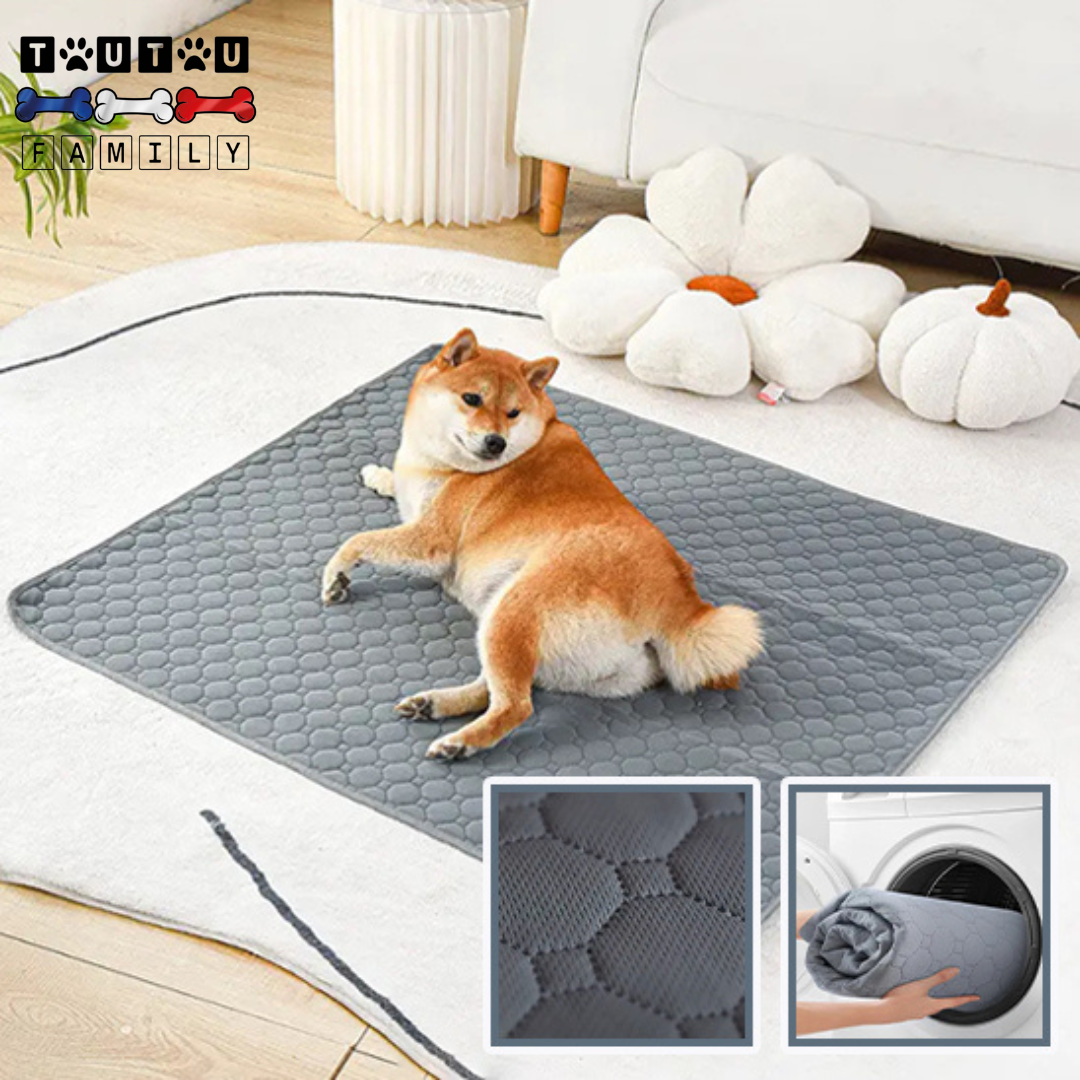 Tapis de propreté pour chien - PropreToutou™