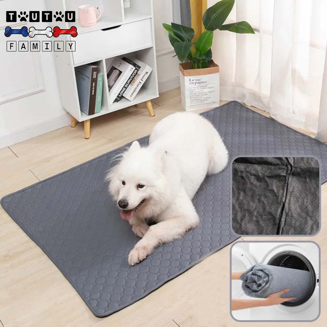 Tapis de propreté pour chien - PropreToutou™