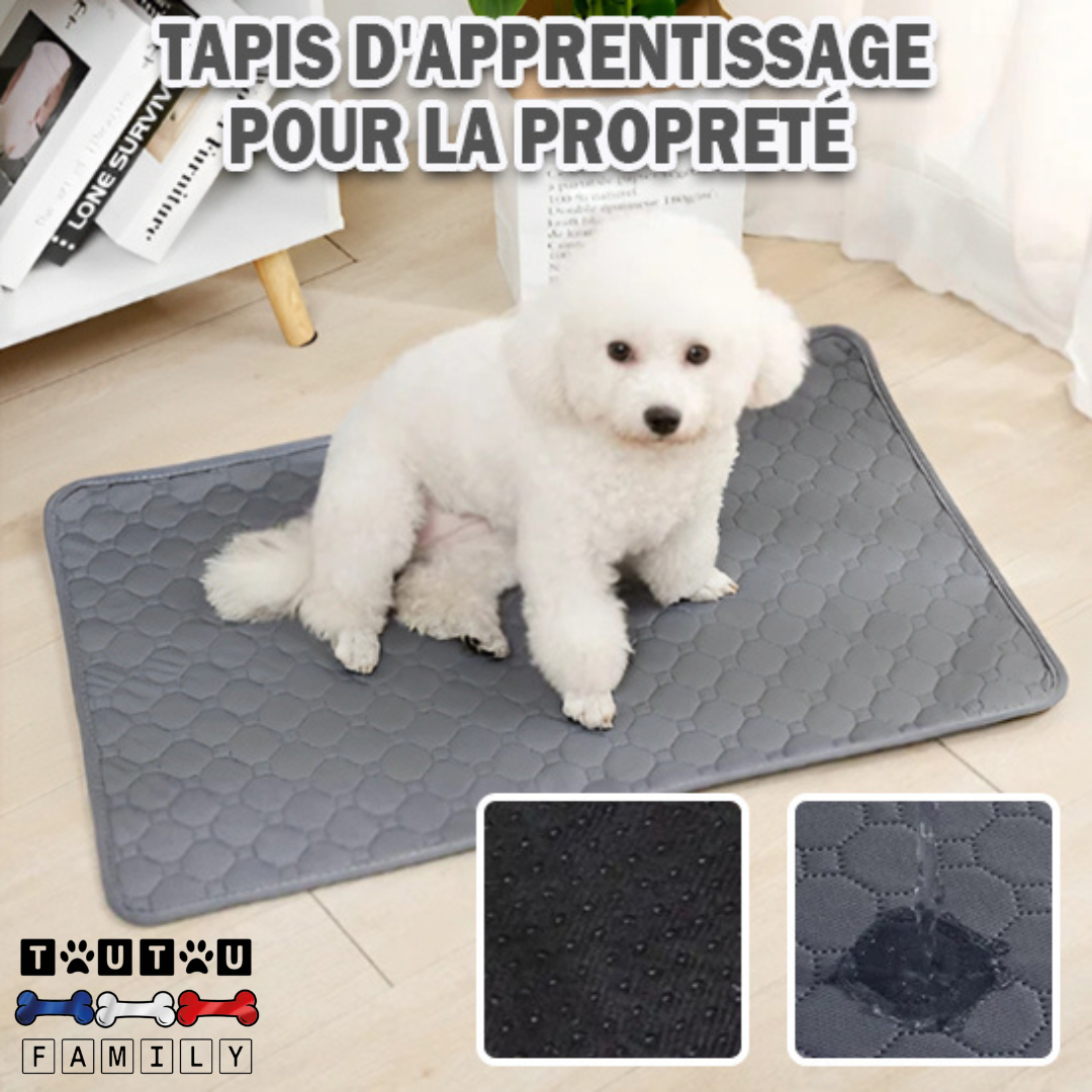 Tapis de propreté pour chien - PropreToutou™