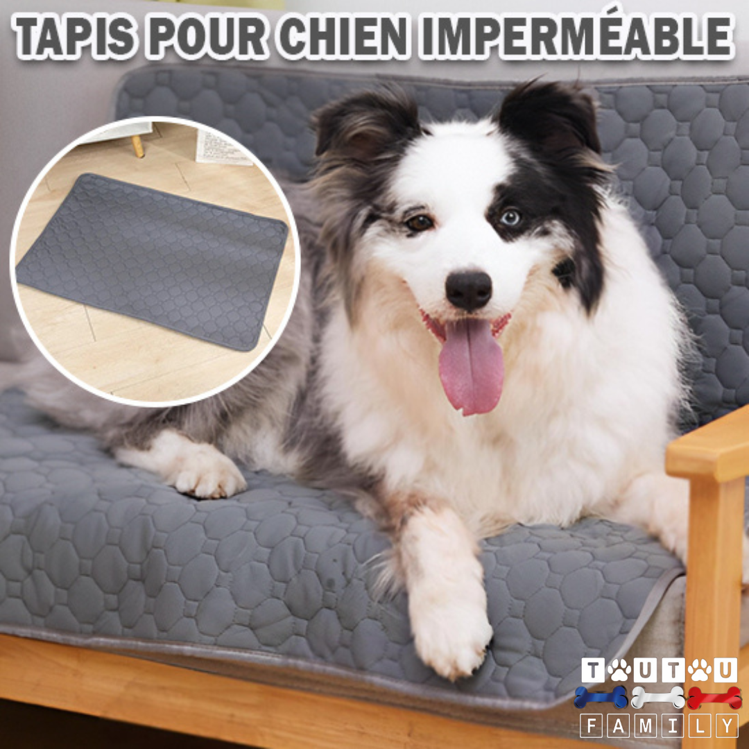 Tapis de propreté pour chien - PropreToutou™