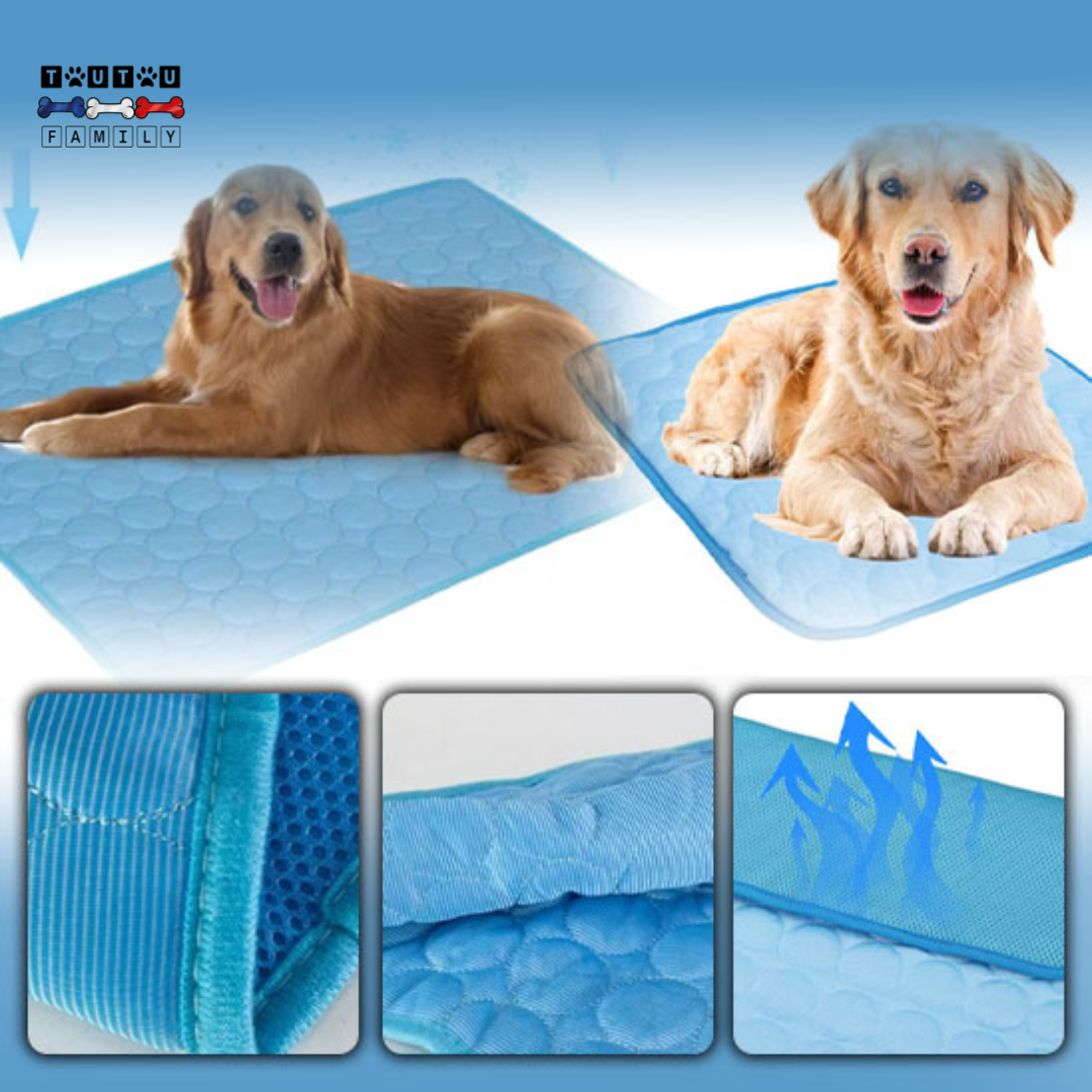 Tapis rafraîchissant pour chien - FreshToutou™