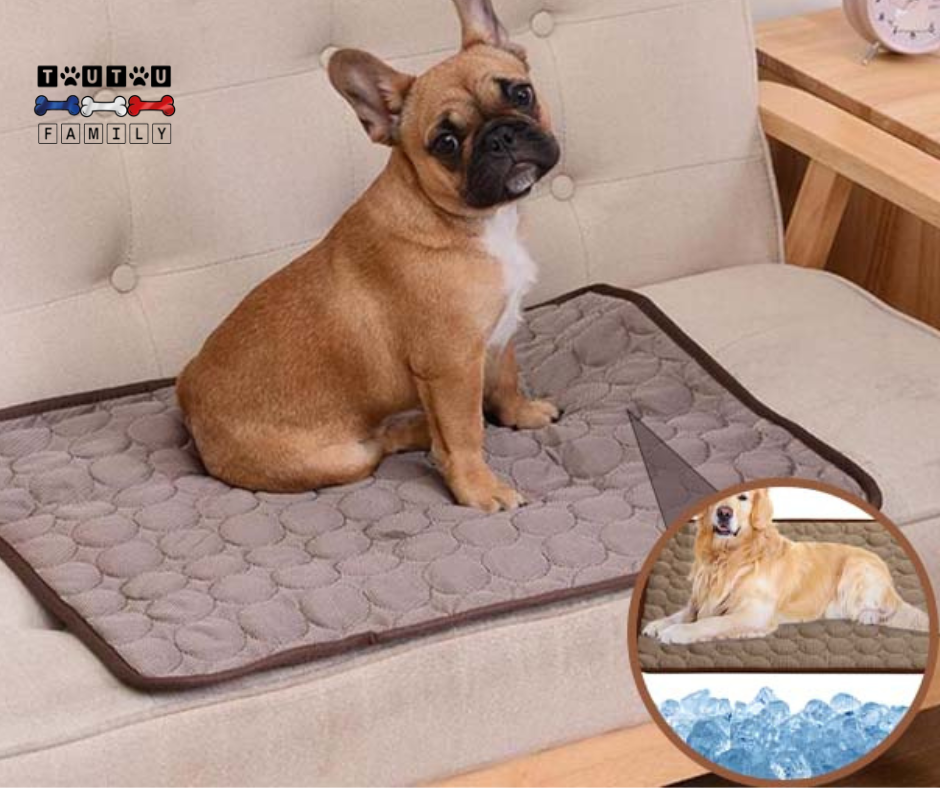 Tapis rafraîchissant pour chien - FreshToutou™