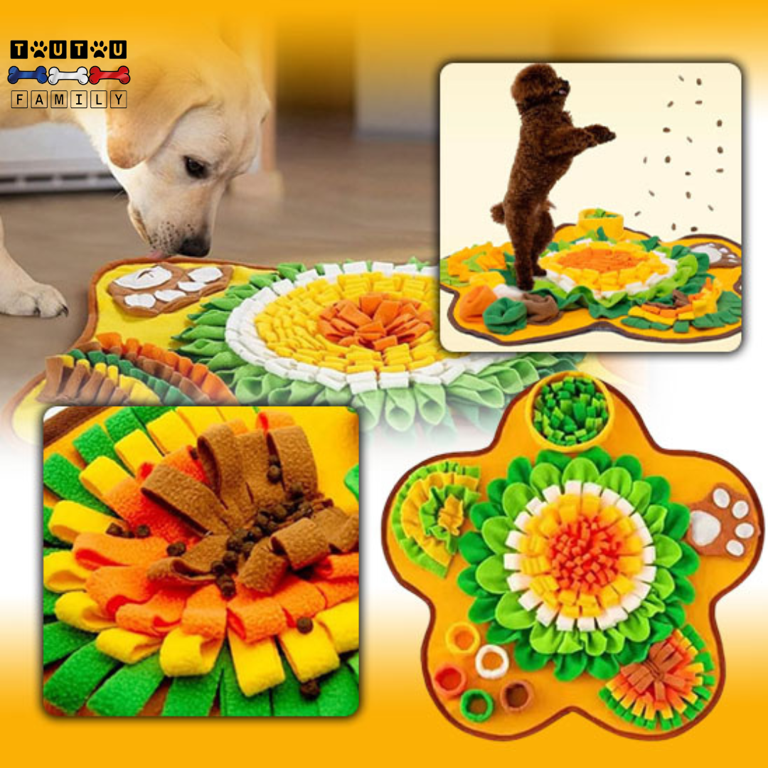 Tapis de fouille chien - FouilleToutou™