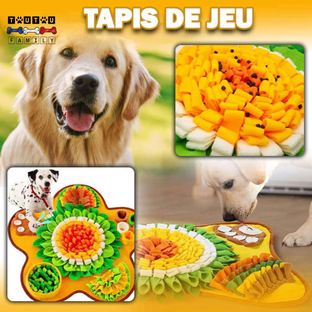 Tapis de fouille chien - FouilleToutou™