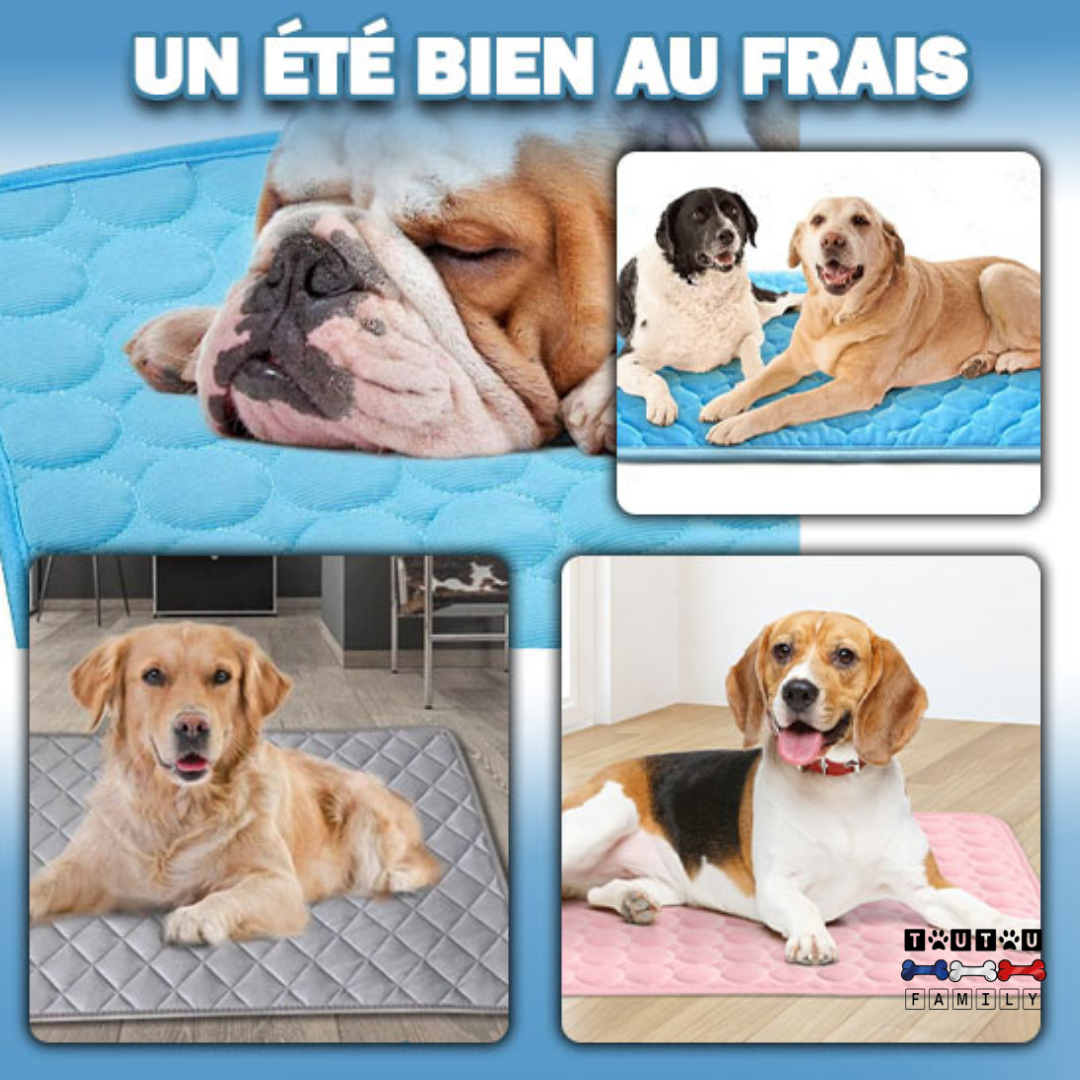 Tapis rafraîchissant pour chien - FreshToutou™