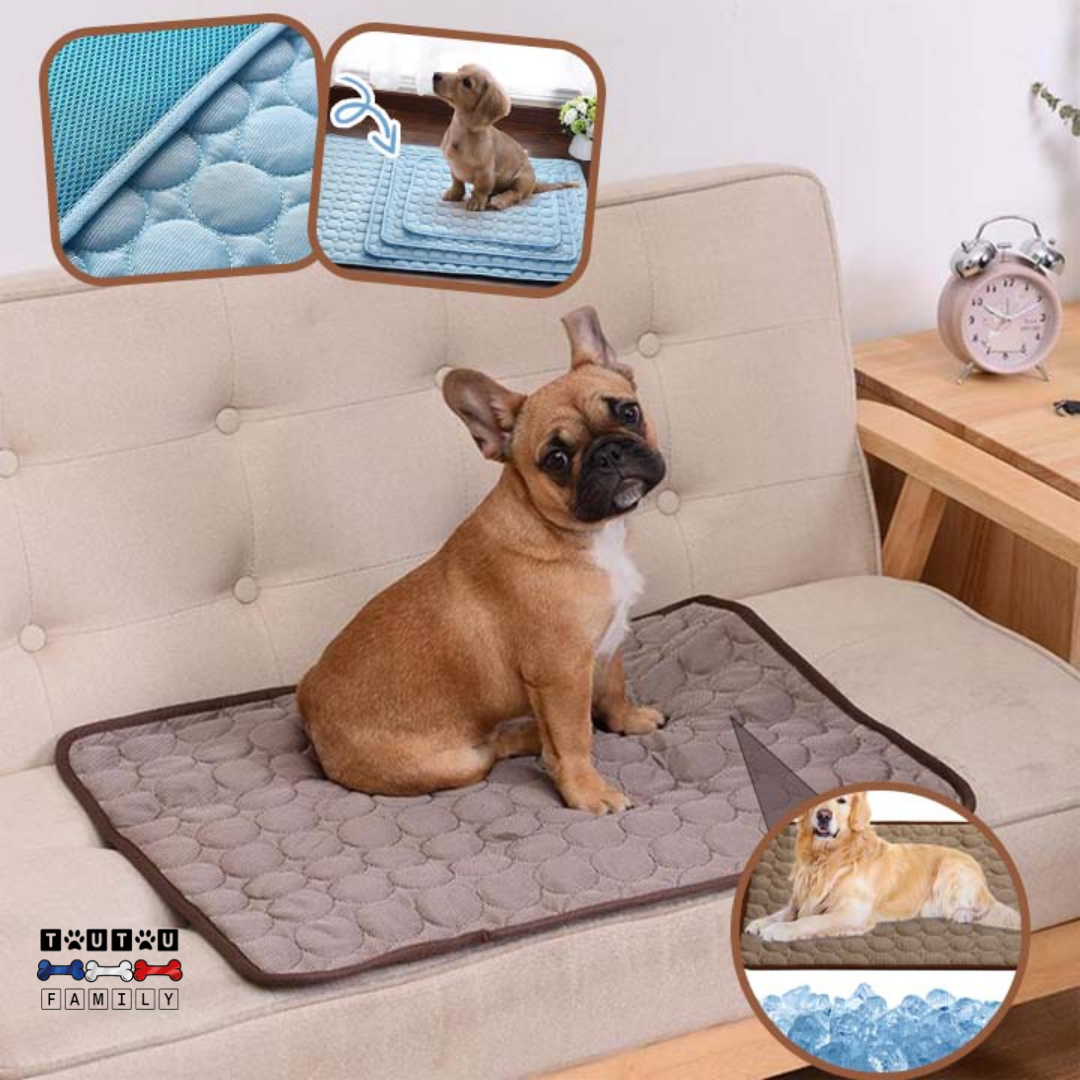 Tapis rafraîchissant pour chien - FreshToutou™