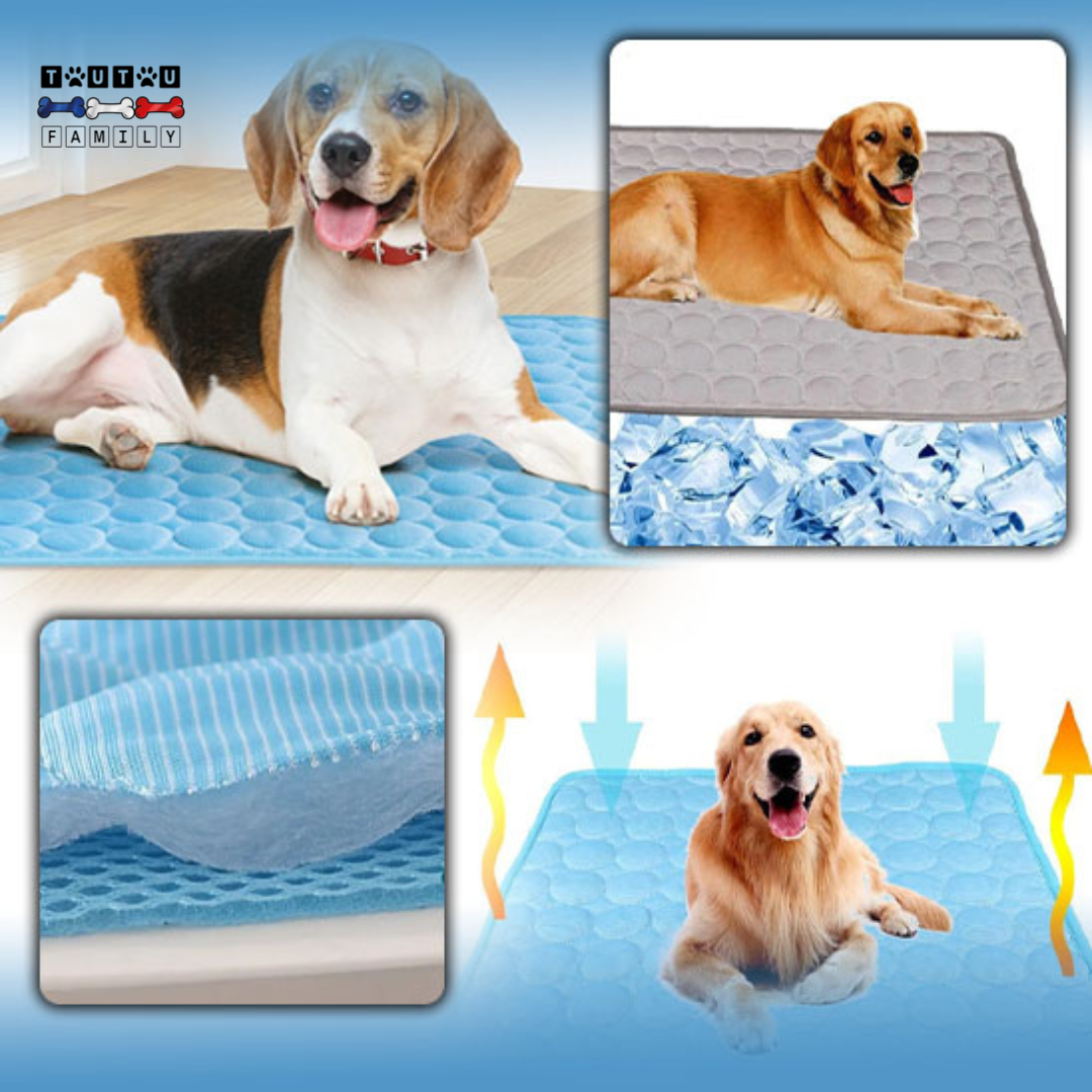 Tapis rafraîchissant pour chien - FreshToutou™