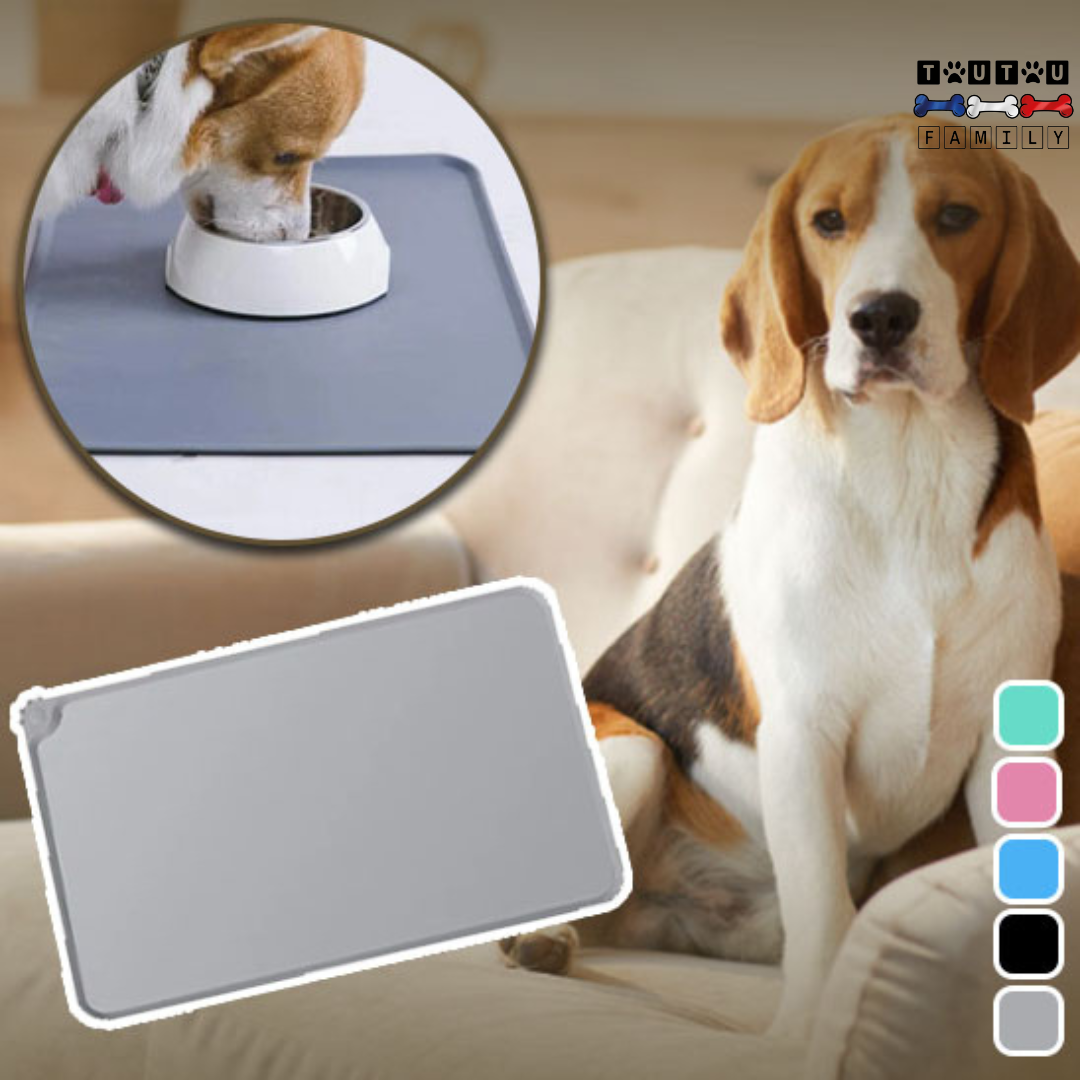 Tapis pour gamelle chien - CleanToutou™